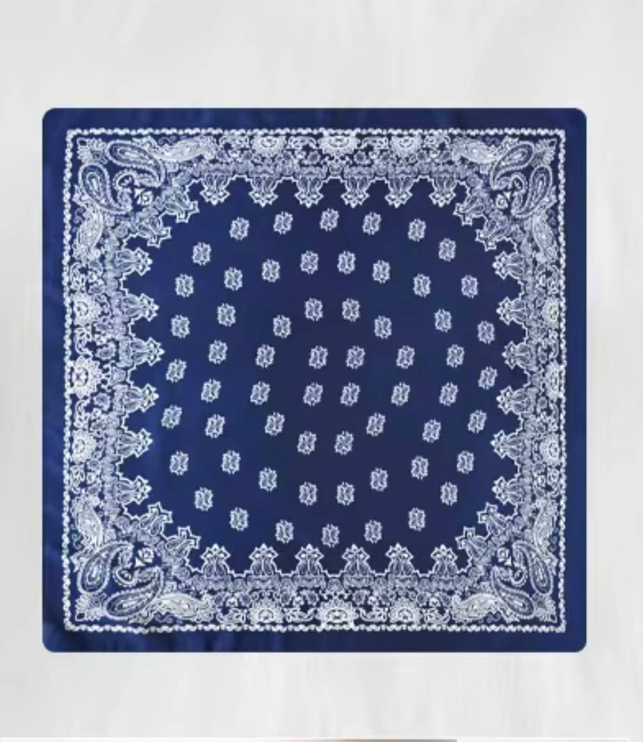 Blue Paisley Wild Rag
