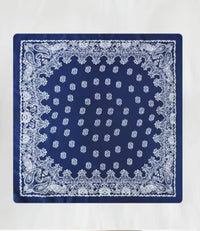 Blue Paisley Wild Rag