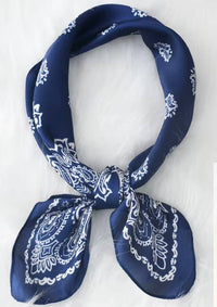Blue Paisley Wild Rag